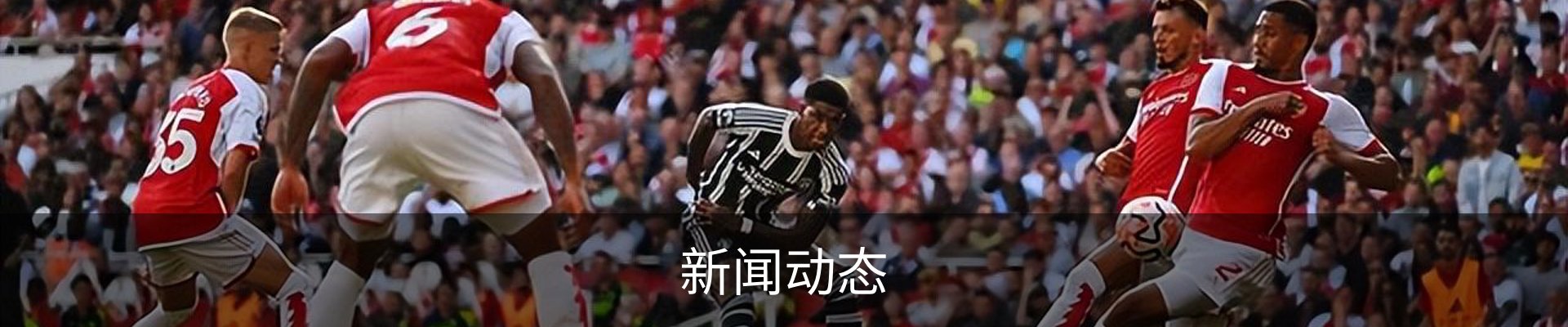 新闻动态
